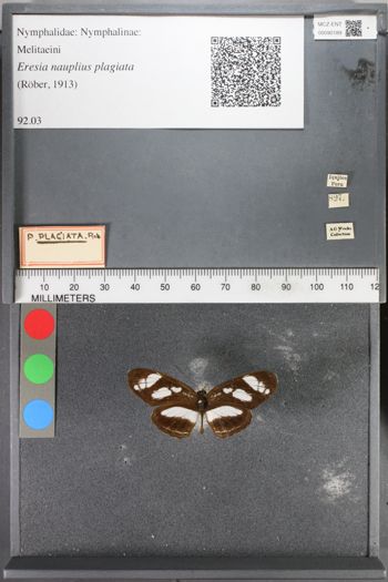 Media type: image;   Entomology 90189
